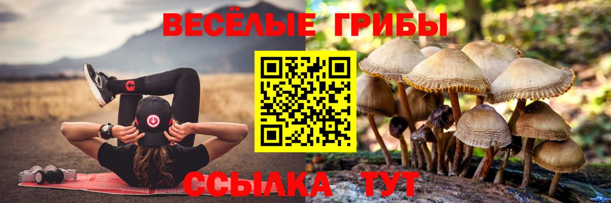 Галлюциногенные грибы Magic Shrooms Похвистнево
